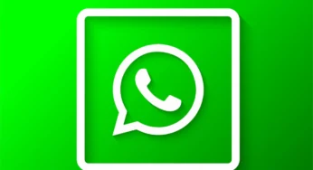 WhatsApp Para Negócios